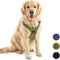 Jake and Jacky Hondentuigje - Anti-Trek Tuig - Hondenharnas - Y Tuig Hond - Reflecterend - Groen - Maat XL