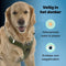 Jake and Jacky Hondentuigje - Anti-Trek Tuig - Hondenharnas - Y Tuig Hond - Reflecterend - Groen - Maat XL