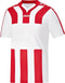 Jako - Shirt Santos Junior - Kinder Teamkleding - 128 - Rood