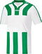 Jako - Shirt Santos - Strepen Voetbalshirt - M - Groen