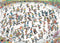 Jan van Haasteren - Skateboarden in de bowl - 2000 stukjes puzzel - Legpuzzel