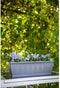 Jardiniere - GARDEN ID Terraflor - Antraciet 60cm - Duurzaamheid - Waterreserve - Gerecycled en 100% recycleerbaar - Volume voor planten.
