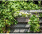 Jardiniere+haak - GARDEN ID Star - Taupe 50 x 21 cm - Gemakkelijke bevestiging - Waterreserve - gerecycled en 100% recyclebaar