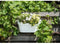 Jardiniere+haak - GARDEN ID Star - Wit 50 x 21 cm - Gemakkelijke bevestiging - Waterreserve - gerecycled en 100% recyclebaar