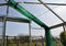 Halls Greenhouses Tuinkas Popular 106 - Blank