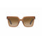 Giorgio Armani 8156 Transparent Brown/ Clear Gradient Brown - AR8156 593251