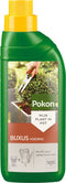 Pokon Buxus Voeding - 500ml - Voor een gezonde, groene Buxus - Plantenvoeding