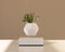 LYFE Planter - Zwevende plant - Wit
