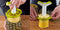 Ananas snijder met wedger J-Hook - Tomorrow's Kitchen