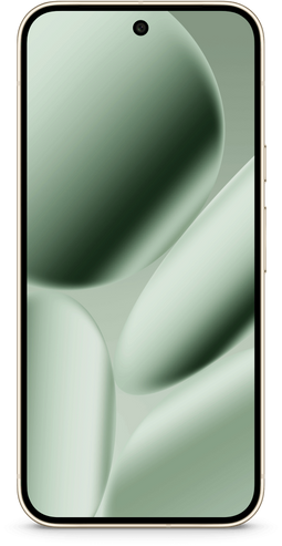 Google Pixel 10 Pro XL - Smartphone - 256GB opslag - Groen