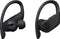 Beats Powerbeats Pro - Draadloze Oordopjes - Zwart