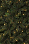 Triumph Treekerstboom Led Forest Frosted H120 D99 D.Groen 96L Tips 396