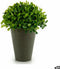Decoratieve plant Plastic 13 x 16 x 13 cm Groen Grijs (12 Stuks)