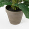 Mica Decorations Gerbera Kunstplant in Bloempot Stan - H35 x Ø30 cm - Oranje