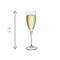 Galileo Champagneglas - Luxe Champagneglazen - 26 cl - 6 stuks