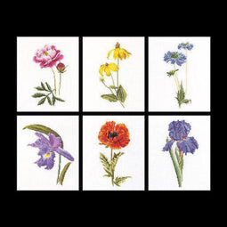 Thea Gouverneur - Borduurpakket met telpatroon - 3085A - Voorgesorteerde DMC Garens - 6 Bloemportretten - Aida - 6 cm x 17 cm - DIY Kit