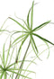 PTMD Leaves Plant Cupressus Uiengras Kunsttak - 87x46x126 cm - Groen
