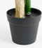 Mica Decorations Strelitzia Kunstplant - H150 x Ø40 cm - Groen