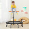 Coast Mini Trampoline - Verstelbare Handgreep 99-126cm - Tot 100kg - Ø117cm - Oranje