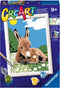 Ravensburger CreArt Little Donkey - Schilderen op nummer voor kinderen