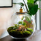 Growing Concepts DIY Duurzaam Ecosysteem Demeter lamp - H38xØ37cm
