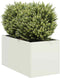 vidaXL - Plantenbak - 40x80x40 - cm - koudgewalst - staal - wit