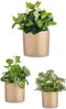 Pottenset 3 Onderdelen Ø 14 cm Ø 22 cm Ø 17 cm Cilinder Beige