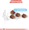 Royal Canin Mother & Babycat - Kitten-Kattenvoer - 4 kg
