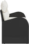 vidaXL - 2-Zits - Tuinbank - met - Kussens - Zwart - Poly - Rattan