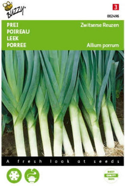 2 stuks - Buzzy - Prei Zwitserse Reuzen