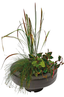 Superfish drijvende plantenmand XL Ø 30 cm