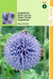 2 stuks Hortitops Echinops Ritro Kogeldistel