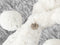 Linnick Flanel Fleece Deken + Hoodie met Capuchon Bont Rabbit - zilver grey - 140x200cm - 130x180cm - Plaid