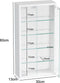 Vitrinekast - Wandvitrine - 4 glasplanken - 30 x 60 x 13 cm