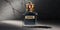 Jean Paul Gaultier Scandal Pour Homme 100 ml Eau de Toilette - Herenparfum