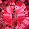 Jean Paul Gaultier So Scandal! 50 ml Eau de Parfum - Damesparfum
