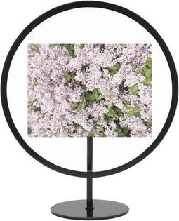 Umbra Infinity ronde fotolijst