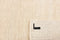 MOMO Rugs Panorama Uni White Vloerkleed - 90x160 - Rechthoek - Laagpolig Tapijt - Klassiek - Beige