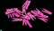 Jep-Party Roze 20 Stuks Mini Knijpers 420213