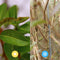 Hedge to Go - Ligustrum ovalifolium Haag