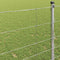 vidaXL - Veldomheining - 1,2x50 - m - Gegalvaniseerd - Staal