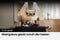 Samsung HW-Q700C - Soundbar - 3.1.2 - Draadloze subwoofer - HDMI eARC