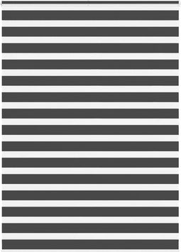 vidaXL - Zebra - rolgordijn - 160x200 - cm - stofbreedte - 155,9 - cm - zwart