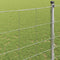 vidaXL - Veldhek - 1,4x25 - m - Gegalvaniseerd - Staal