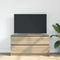 vidaXL - Tv-meubel - 100x35x54 - cm - bewerkt - hout - sonoma - eikenkleurig
