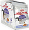 Royal Canin Sterilised In Jelly - Kattenvoer - 12x85 g