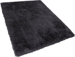 CIDE - Shaggy vloerkleed - Zwart - 200 x 300 cm - Polyester