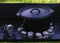 Camp chef draadloze thermometer