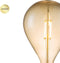 Home Sweet Home - Edison Vintage E27 LED filament lichtbron - Dimbaar - Amber G160 Ovaal 16/16/29cm 4W 400lm 2700K (1 stuk)