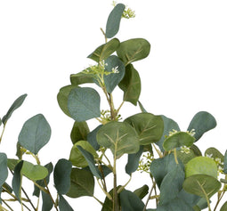 Decoratieve plant 78 x 68 x 150 cm Groen PVC Eucalyptus